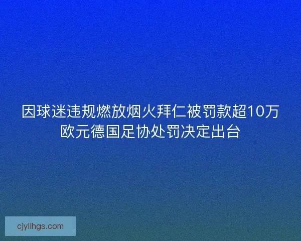 因球迷违规燃放烟火拜仁被罚款超10万欧元德国足协处罚决定出台